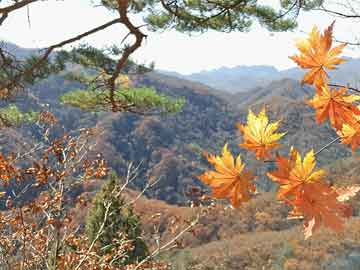 歷史上的12月4日信達(dá)天御樓盤熱門備案價概覽，回顧與展望