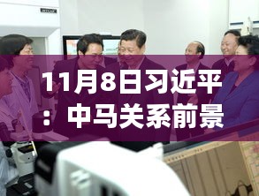 11月8日習(xí)近平：中馬關(guān)系前景光明 未來可期，11月8日習(xí)近平主席談中馬關(guān)系，未來光明，前景可期