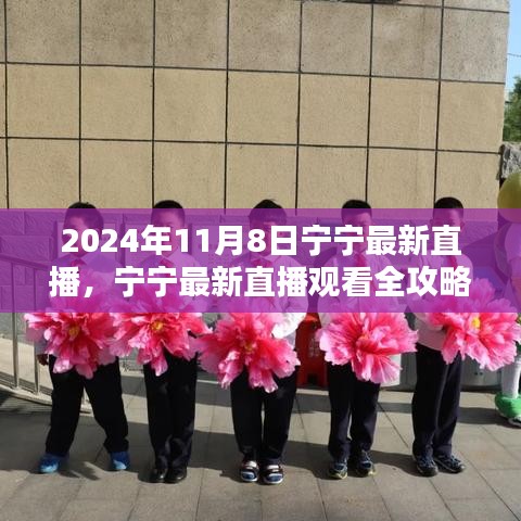 寧寧直播指南，2024年11月8日直播觀看全攻略與入門指南