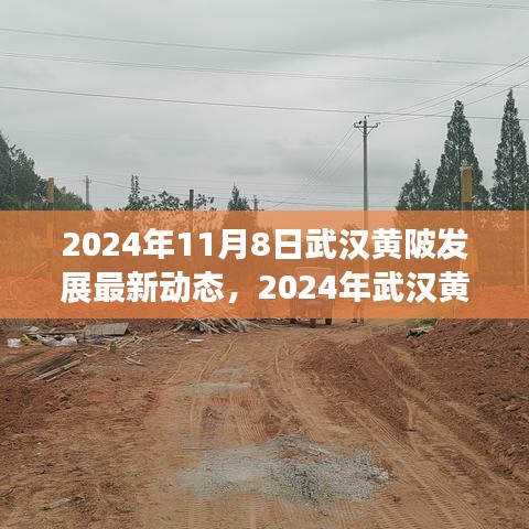 2024年武漢黃陂發(fā)展最新動態(tài)探索，融入區(qū)域發(fā)展大潮的步伐