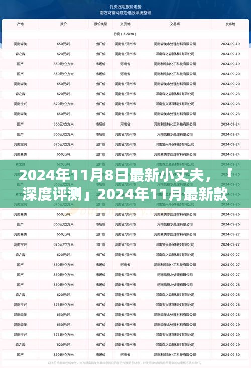 深度評測，全方位解析2024年最新款小丈夫產品特性與用戶體驗體驗報告