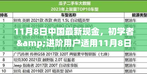 初學(xué)者與進(jìn)階用戶指南，11月8日中國最新現(xiàn)金操作指南及任務(wù)完成步驟詳解