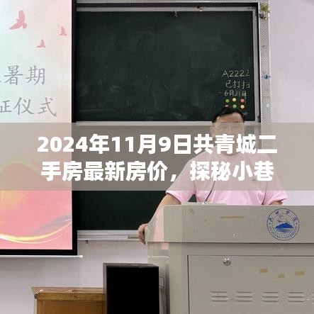 2024年共青城二手房最新房?jī)r(jià)揭秘，小巷特色小店探秘