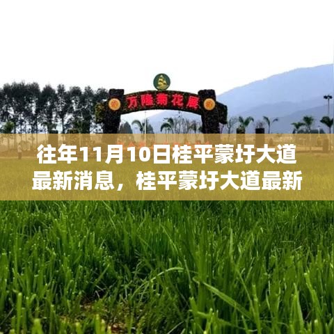 桂平蒙圩大道最新動(dòng)態(tài)獲取全攻略，輕松掌握最新消息動(dòng)態(tài)