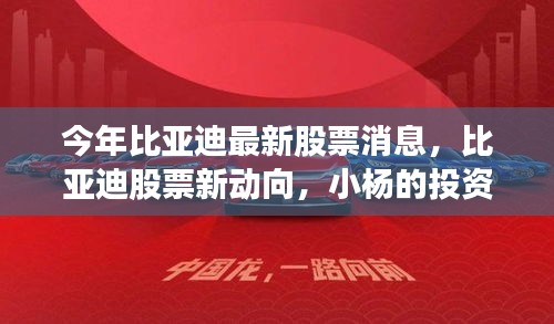 比亞迪最新股票動態(tài)與小楊的投資奇遇及友情故事