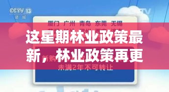 林業(yè)政策最新動向，本周更新及其時代影響力分析