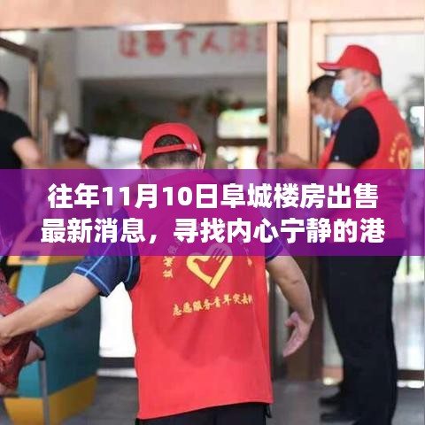 阜城樓房最新出售消息，尋找心靈寧?kù)o的自然探索之旅