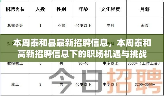 本周泰和高新招聘信息更新，職場機(jī)遇與挑戰(zhàn)揭秘