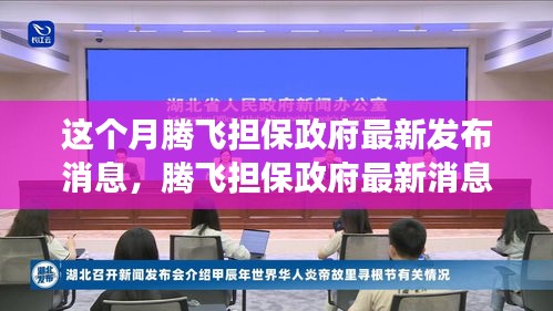 騰飛擔(dān)保政府最新消息解讀與操作指南，初學(xué)者與進(jìn)階用戶必讀指南