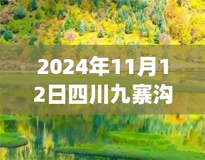 2024年11月12日四川九寨溝最新情況，自然恢復(fù)與旅游新篇章開啟