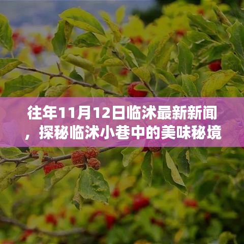 探秘臨沭小巷美味秘境，11月12日臨沭最新新聞中的隱藏美食店揭秘