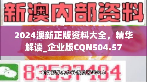 2024澳新正版資料大全，精華解讀_企業(yè)版CQN504.57