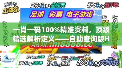 一肖一碼100%精準資料，頂級精選解析定義——自助查詢版HOU688.73