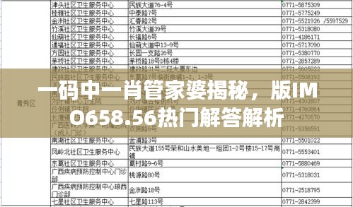 一碼中一肖管家婆揭秘，版IMO658.56熱門解答解析