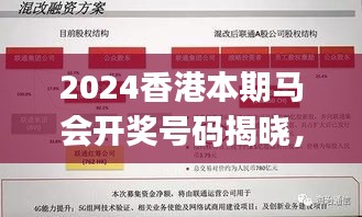 2024香港本期馬會(huì)開獎(jiǎng)號(hào)碼揭曉，安全策略深度剖析——專家視角KJY655.48