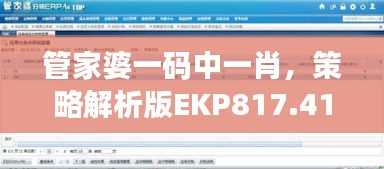 管家婆一碼中一肖，策略解析版EKP817.41測試版