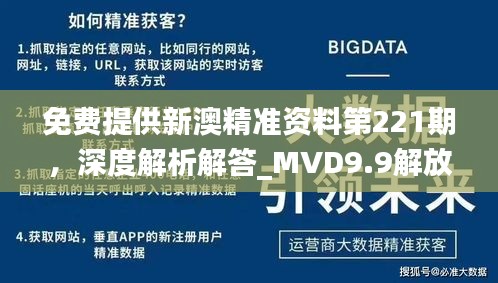 免費提供新澳精準資料第221期，深度解析解答_MVD9.9解放版