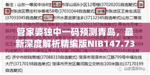 管家婆獨中一碼預(yù)測青島，最新深度解析精編版NIB147.73