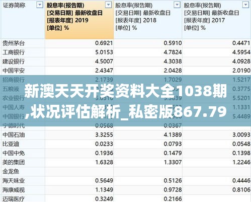 新澳天天開獎資料大全1038期,狀況評估解析_私密版867.79