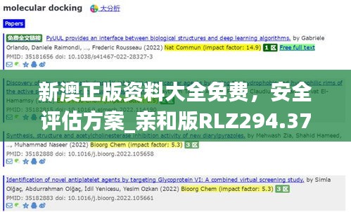 新澳正版資料大全免費，安全評估方案_親和版RLZ294.37