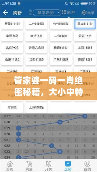 管家婆一碼一肖絕密秘籍，大小中特精準(zhǔn)解析，JRW112.88編程版最新解讀