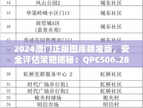 2024澳門正版圖庫精準版，安全評估策略揭秘：QPC506.28解密