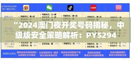 “2024澳門夜開獎號碼揭秘，中級版安全策略解析：PYS294.03”