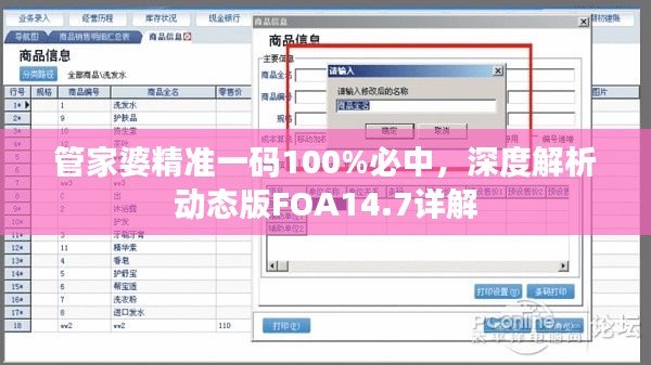 管家婆精準一碼100%必中，深度解析動態(tài)版FOA14.7詳解