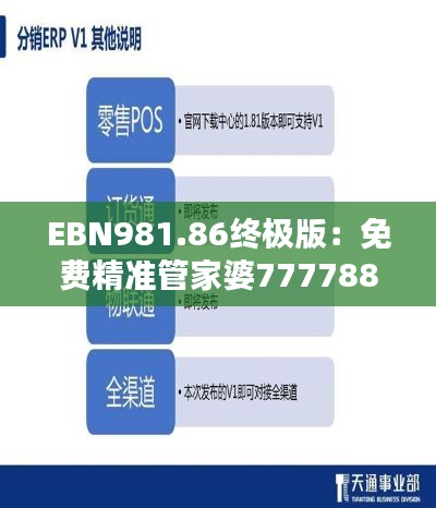 EBN981.86終極版：免費精準(zhǔn)管家婆7777888888安全策略深度解析