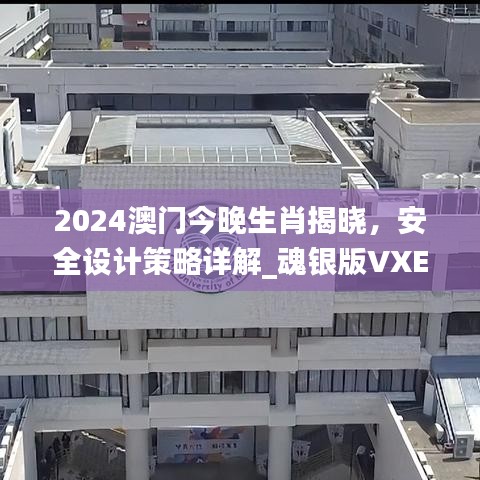 2024澳門今晚生肖揭曉，安全設(shè)計(jì)策略詳解_魂銀版VXE642.92