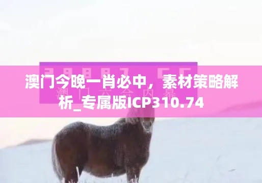 澳門今晚一肖必中，素材策略解析_專屬版ICP310.74