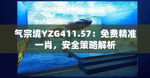 氣宗境YZG411.57：免費精準一肖，安全策略解析