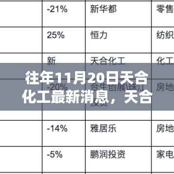 天合化工最新動(dòng)態(tài)解讀，產(chǎn)品特性、用戶體驗(yàn)與目標(biāo)用戶分析揭秘