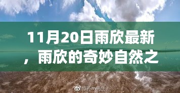 雨欣的11月20日奇妙探險，自然之旅尋找心靈寧靜與笑聲