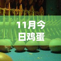 11月雞蛋價格最新行情解析，多方觀點交織的思考