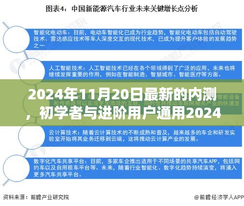 初學者與進階用戶通用，最新內(nèi)測任務(wù)完成指南（2024年11月20日版）