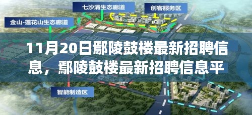 11月20日鄢陵鼓樓最新招聘信息及平臺深度評測，特性、體驗(yàn)與用戶洞察