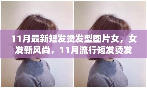 11月流行女發(fā)短燙發(fā)，全新風(fēng)尚與全攻略圖片欣賞