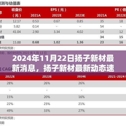 2024年11月22日揚(yáng)子新材最新消息，揚(yáng)子新材最新動(dòng)態(tài)速遞，2024年11月22日的三大看點(diǎn)