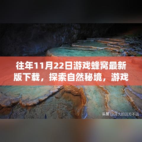 游戲蜂窩帶你探索自然秘境，最新下載，心靈平靜之旅