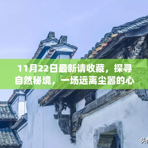 11月22日探尋自然秘境之旅，心靈啟程，珍藏美好瞬間