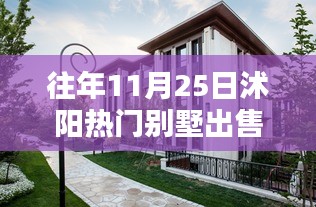 沭陽智能別墅，科技重塑居住品質(zhì)，未來居住新體驗熱賣中