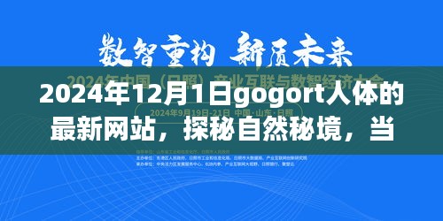 探秘gogort人體奧秘，心靈遇見(jiàn)奇妙旅程的秘境網(wǎng)站（最新更新）