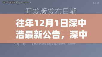 深中浩歷年公告深度解析，背景、事件與領(lǐng)域地位回顧之最新公告解讀