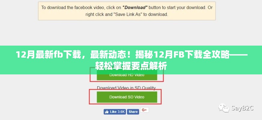 揭秘，最新動態(tài)下的FB下載全攻略，輕松掌握要點解析