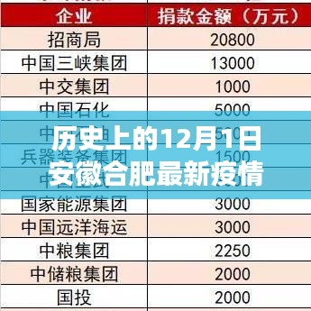 安徽合肥隱秘小巷中的抗疫故事與特色小店的獨(dú)特魅力——最新疫情回顧與啟示（標(biāo)題）