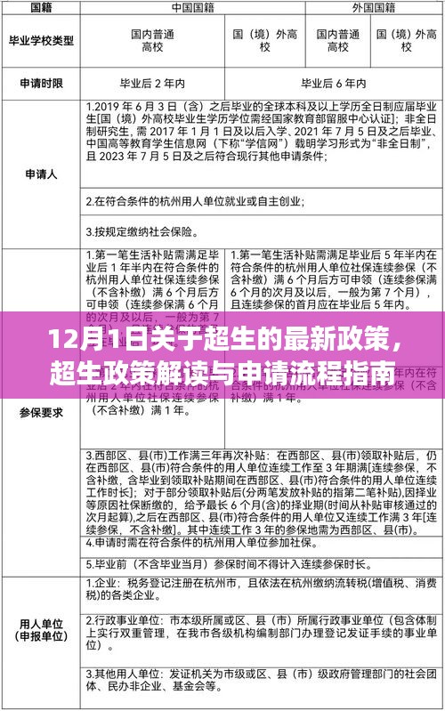 超生政策解讀與申請流程指南，最新政策解讀適用于初學者與進階用戶