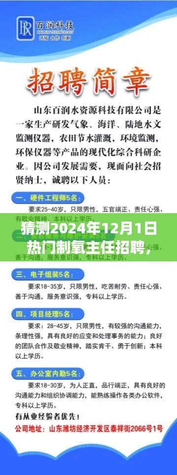 把握未來，挑戰(zhàn)熱門制氧主任崗位，2024年招聘展望與自我超越之路