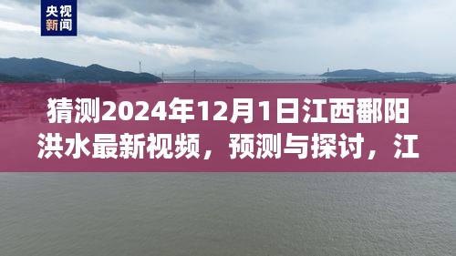 江西鄱陽湖區(qū)洪水現(xiàn)象觀察與預(yù)測(cè)，聚焦2024年12月1日的最新視頻探討