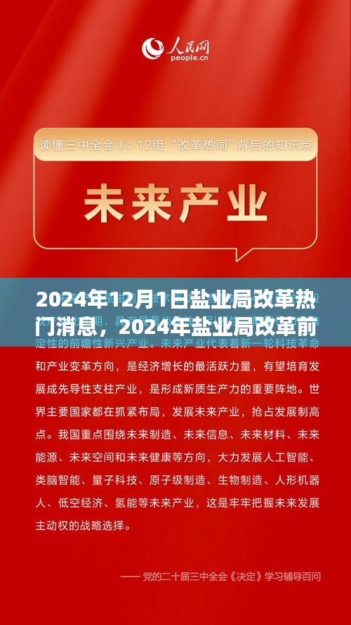 鹽業(yè)局改革前沿動態(tài)，創(chuàng)新策略與未來展望（2024年鹽業(yè)局改革熱門消息）